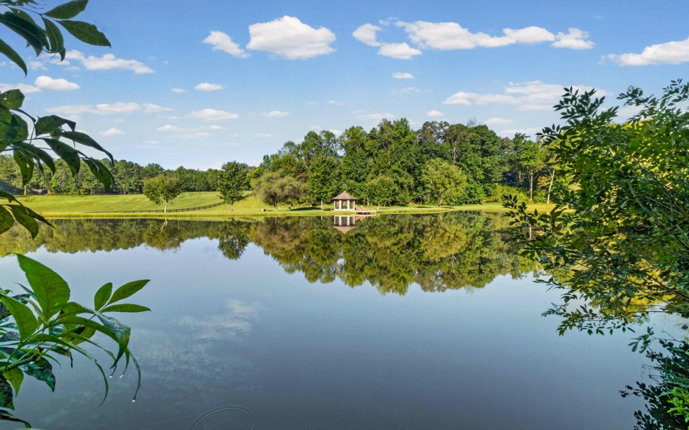 Equestrian Country Estate/ Private Lake/ 53 acres - photo 30
