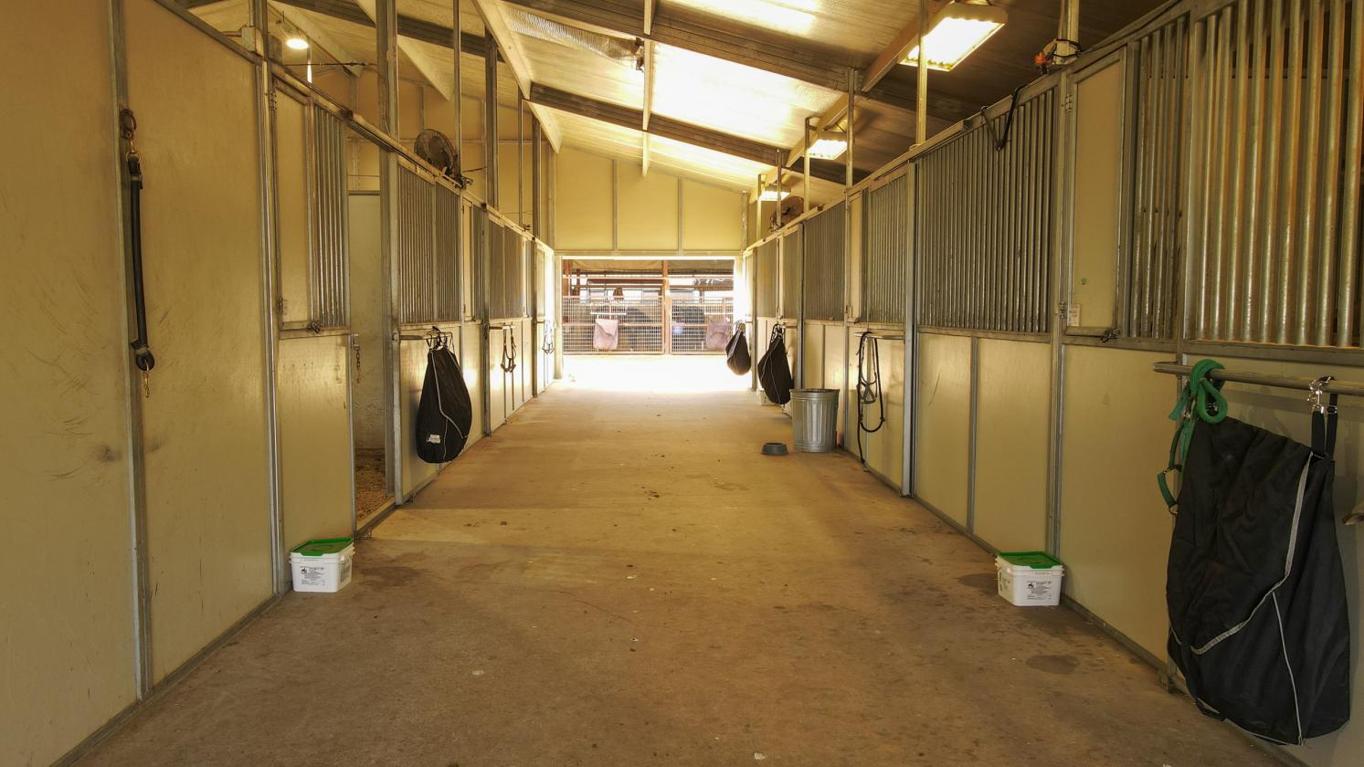 Premiere Cutting Horse Facility in Taylor County - photo 16
