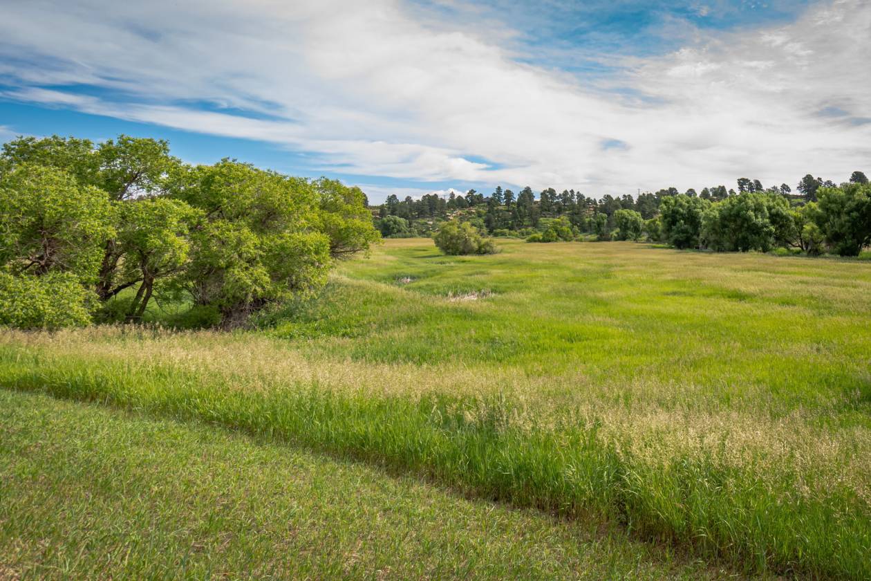 Horse Property for sale.