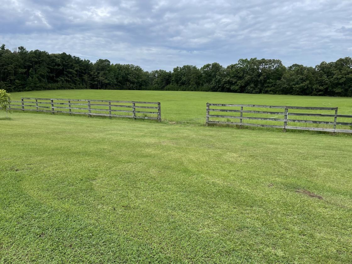 Beautiful Equestrian or Investment Farm 52 acres - photo 21