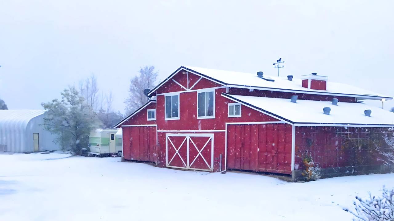 Horse Property for sale.