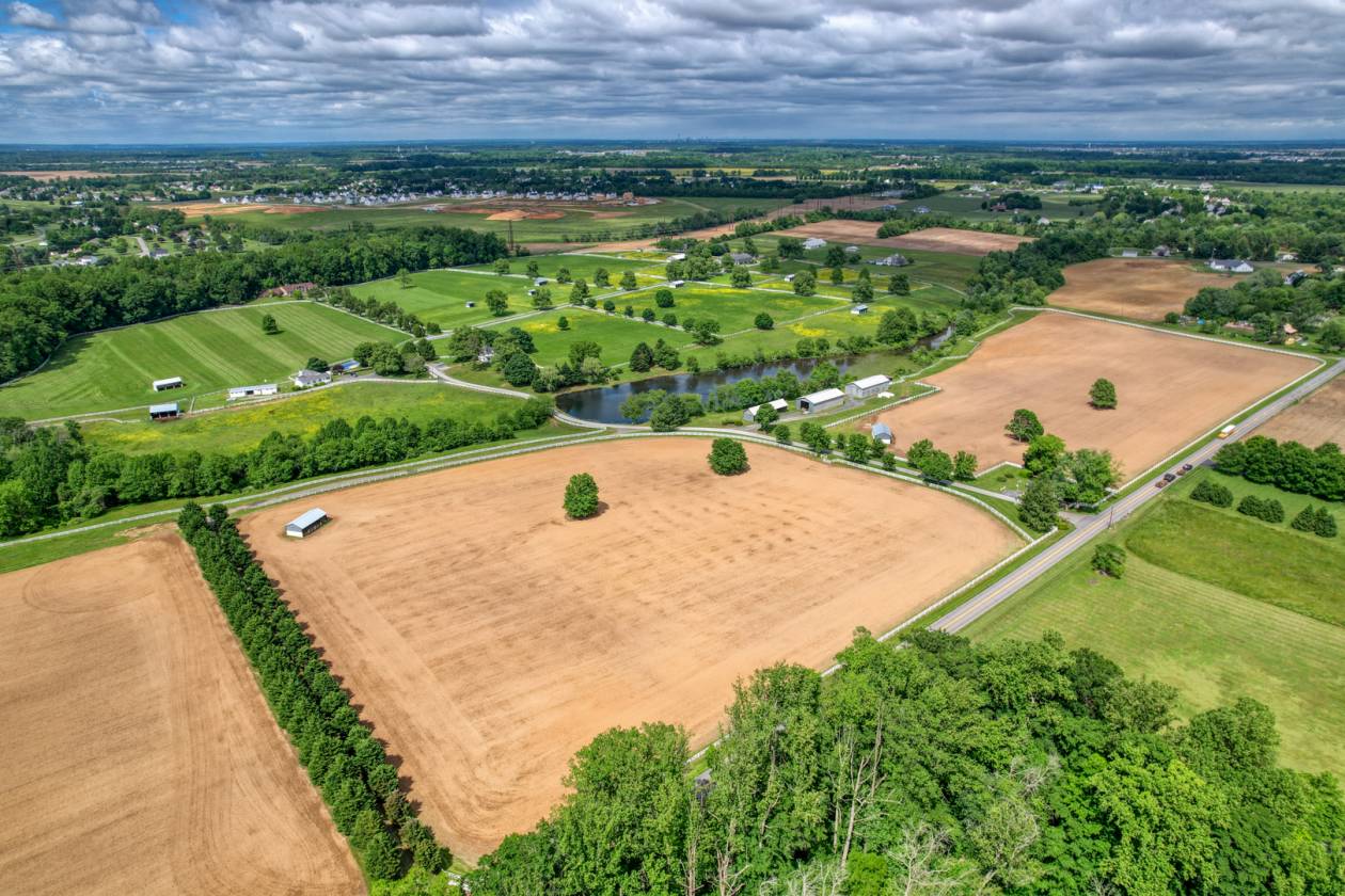 CandyLand Farm: Where Dreams Gallop Free! - photo 9
