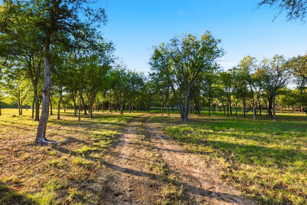 40 Acre Ranchette Near Bluejack Ranch in Aledo ISD - photo 11