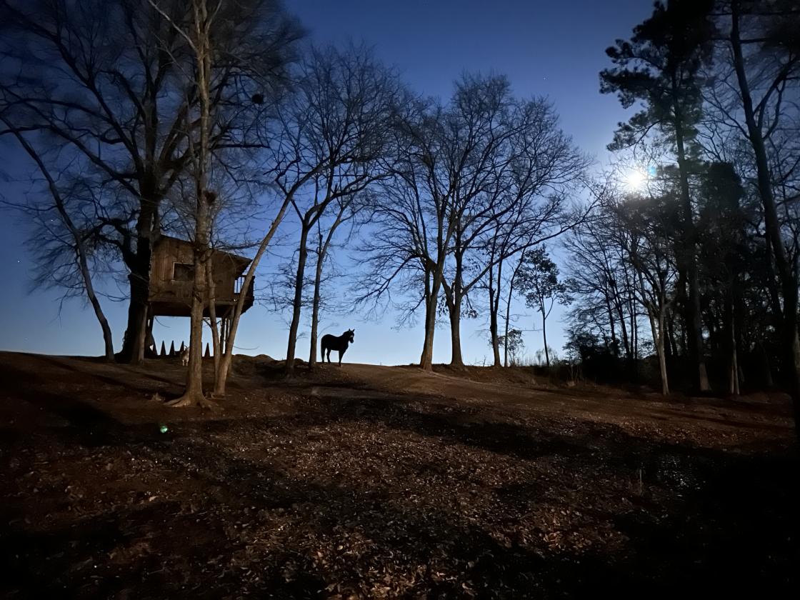 1️⃣2️⃣7️⃣ Martin Hollow Road - photo 24