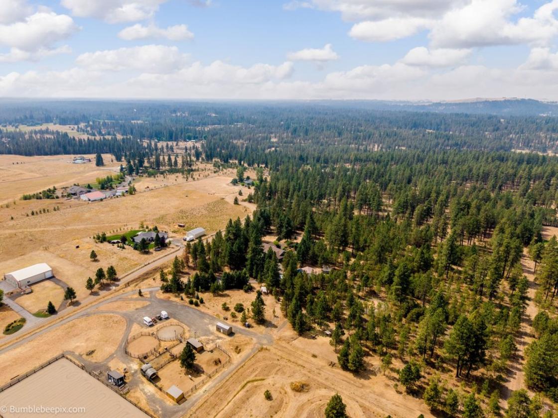 Income Producing 10 Acre Equestrian Facility - photo 16