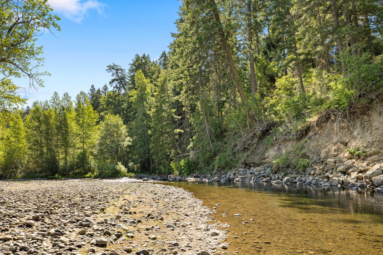 5 Acres with 800 ft. of river waterfront - photo 30