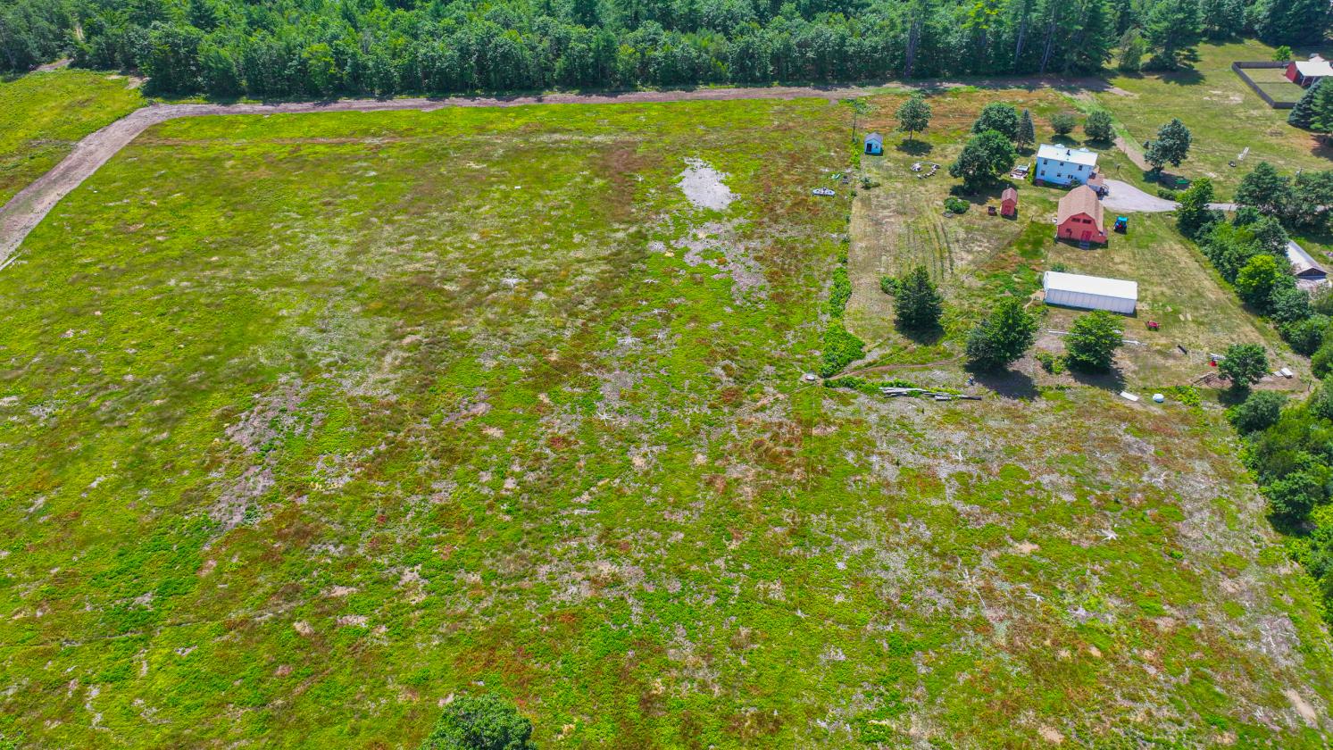 Homesteading Horse Opportunity! - photo 14