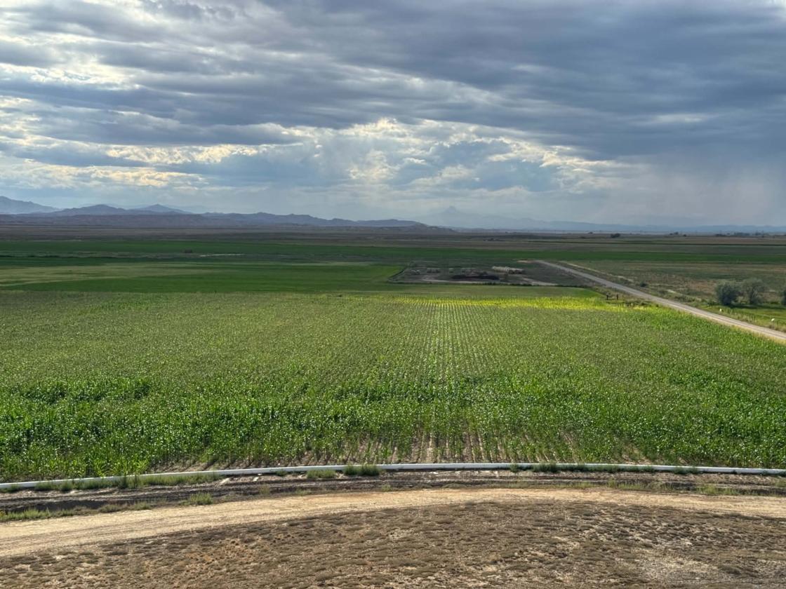 Discover 67± acres of Versatile Land - photo 3