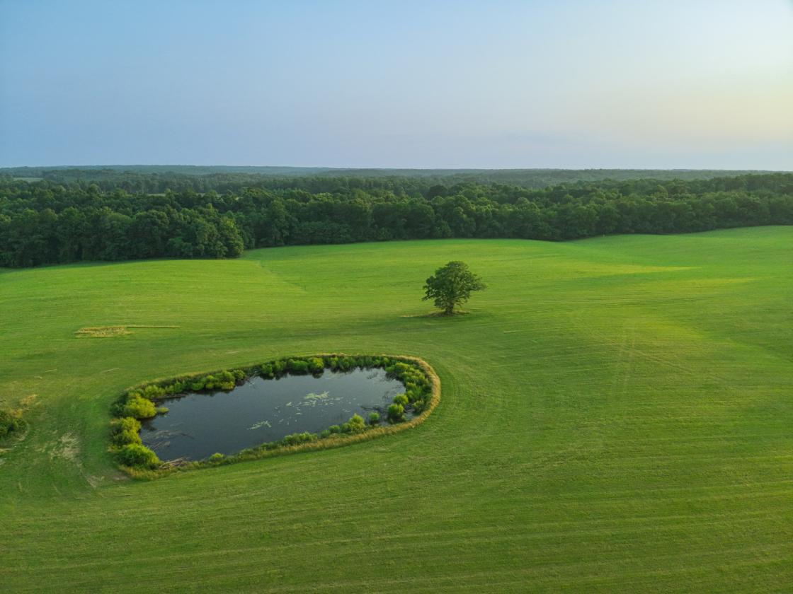 Mayland Farm: A Legacy Estate - photo 8