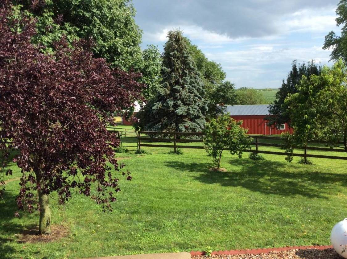 AMAZING ELKHORN ACREAGE READY FOR YOUR HORSES!! Elkhorn, Douglas