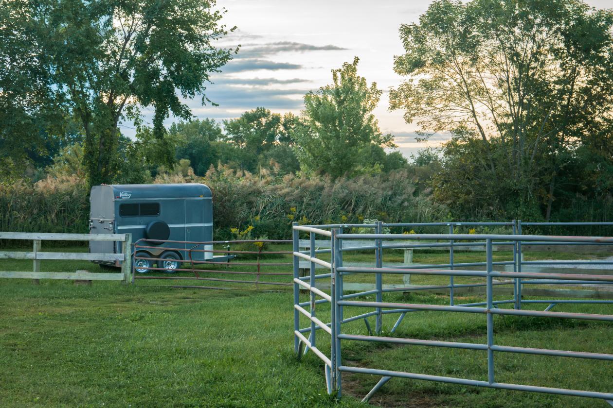 100 Acre Equestrian Estate with Infrastructure - photo 24