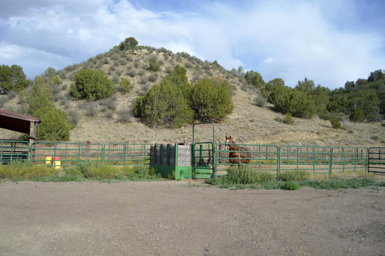 Cash Ranch - photo 27