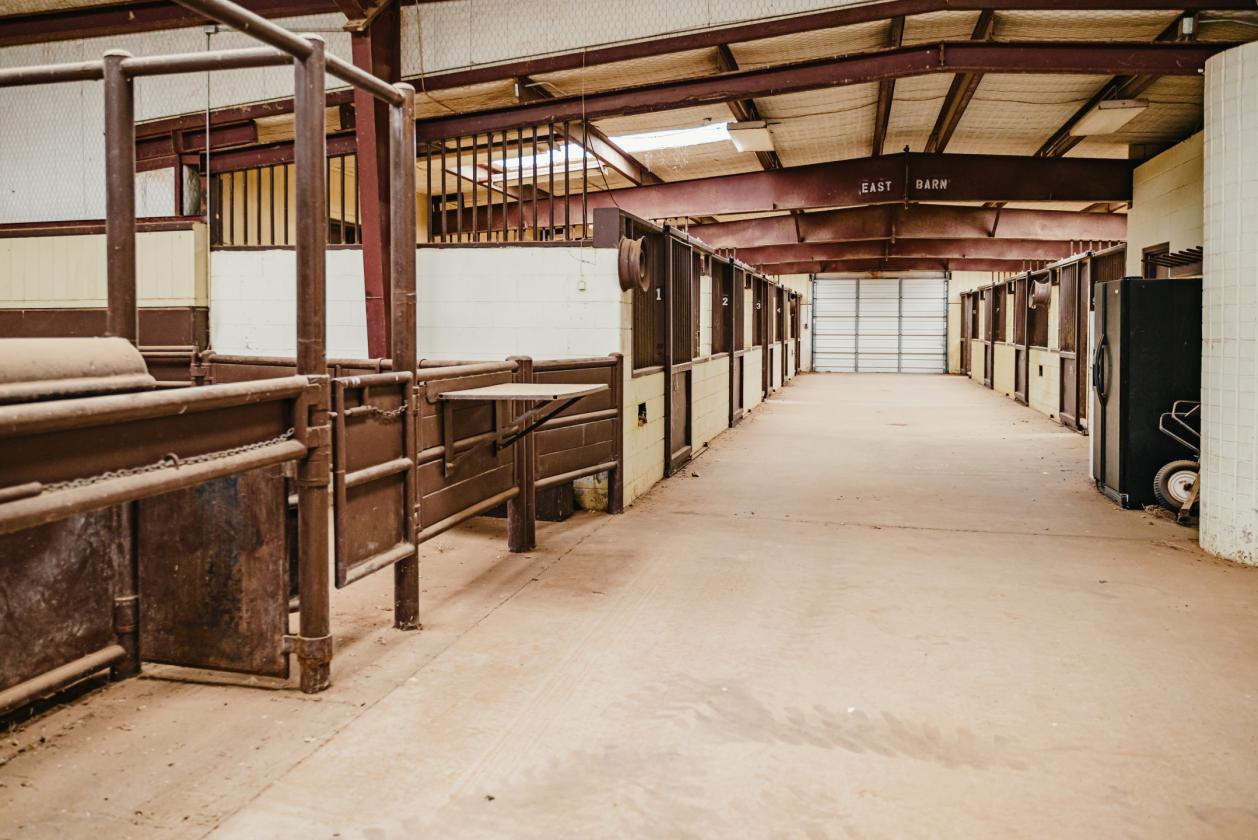 The Ultimate Equestrian Estate - photo 24