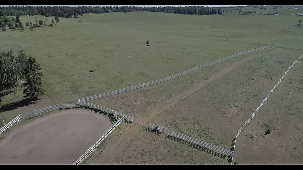 Colorado Equestrian Property Divide, Teller County, Colorado \ Horse