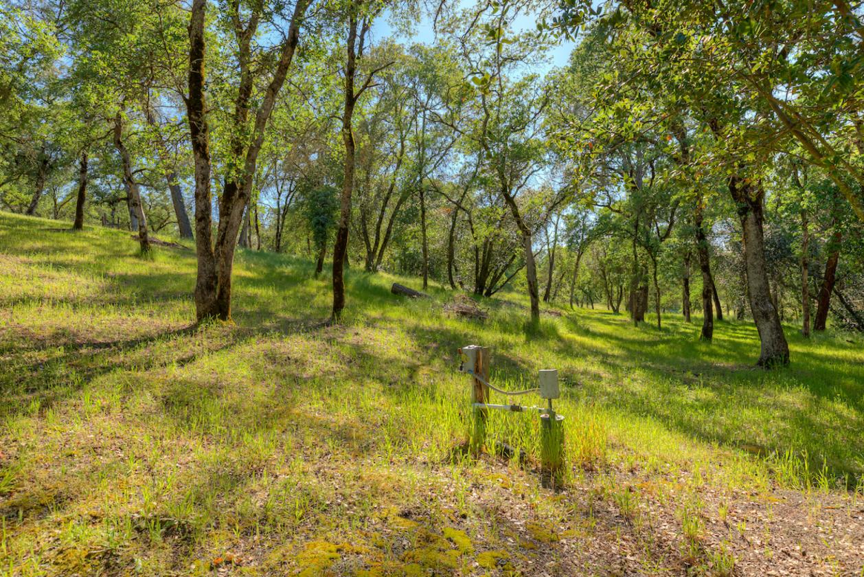 Oh, the POSSIBILITIES!! 5.31 Acres! - photo 22