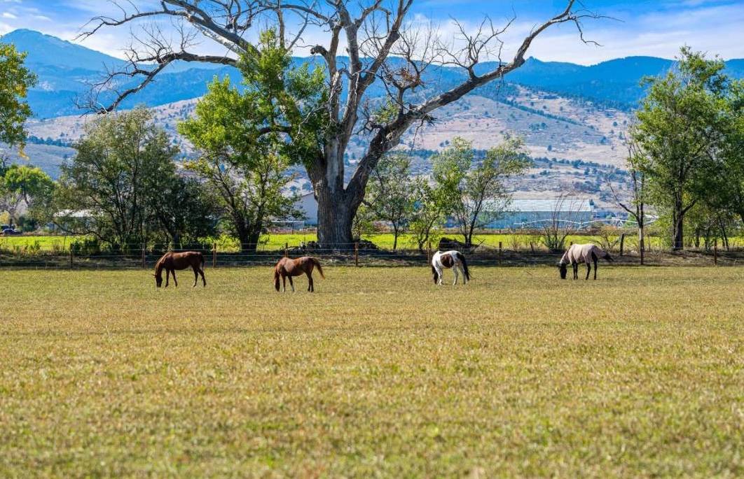 Horse Property for sale.