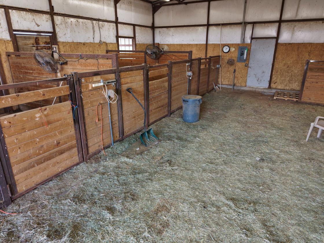 Fabulous, one of a kind horse property - photo 11