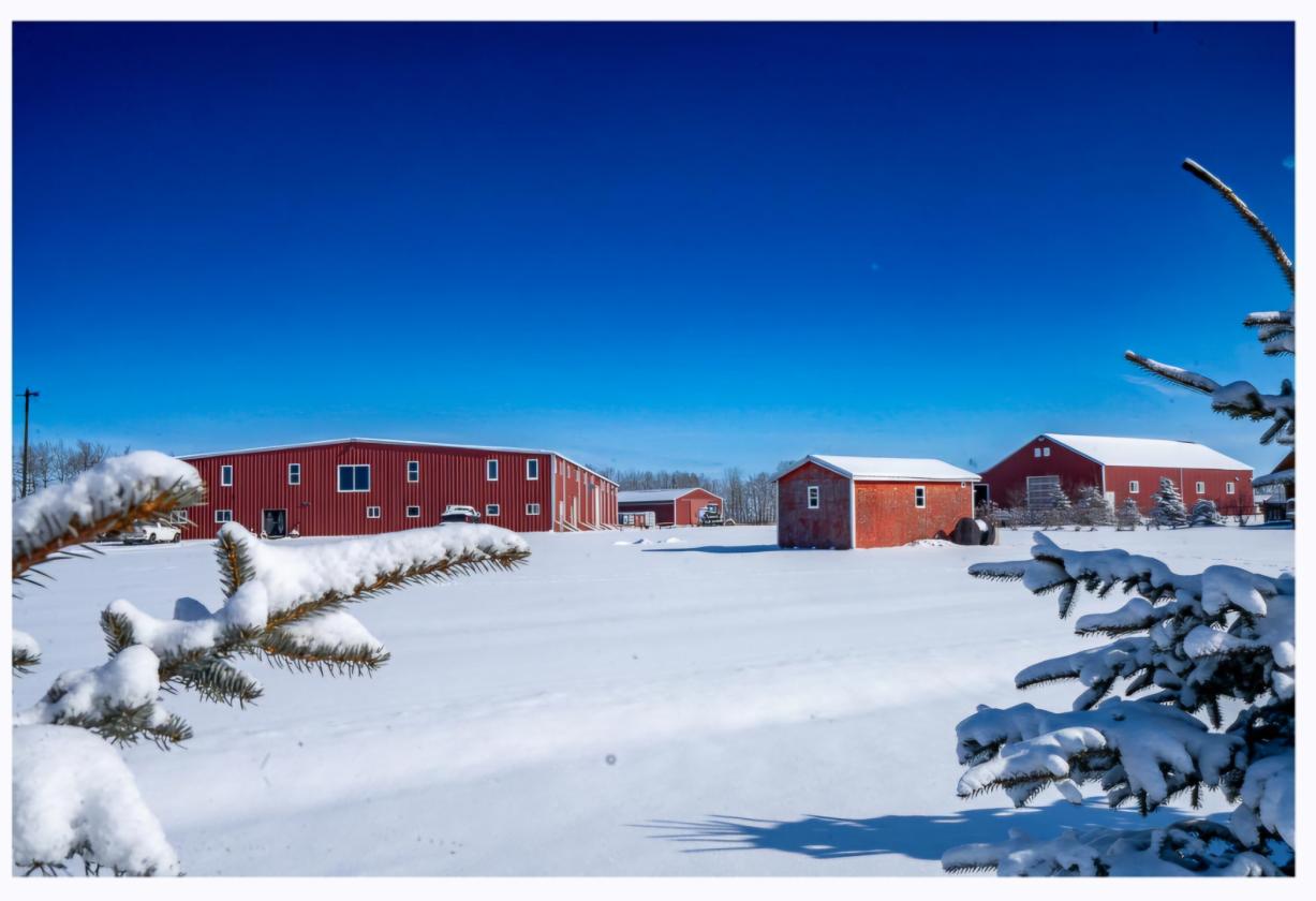 100 x250 ft Steel Engineered INDOOR ARENA, 138.6Ac - photo 4