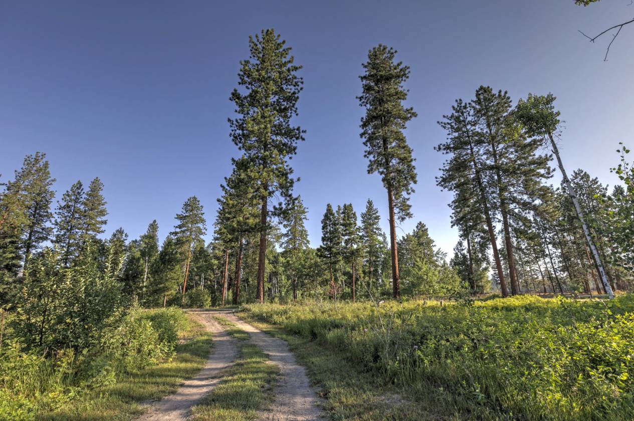 Equestrian Retreat Just Minutes from Missoula - photo 11