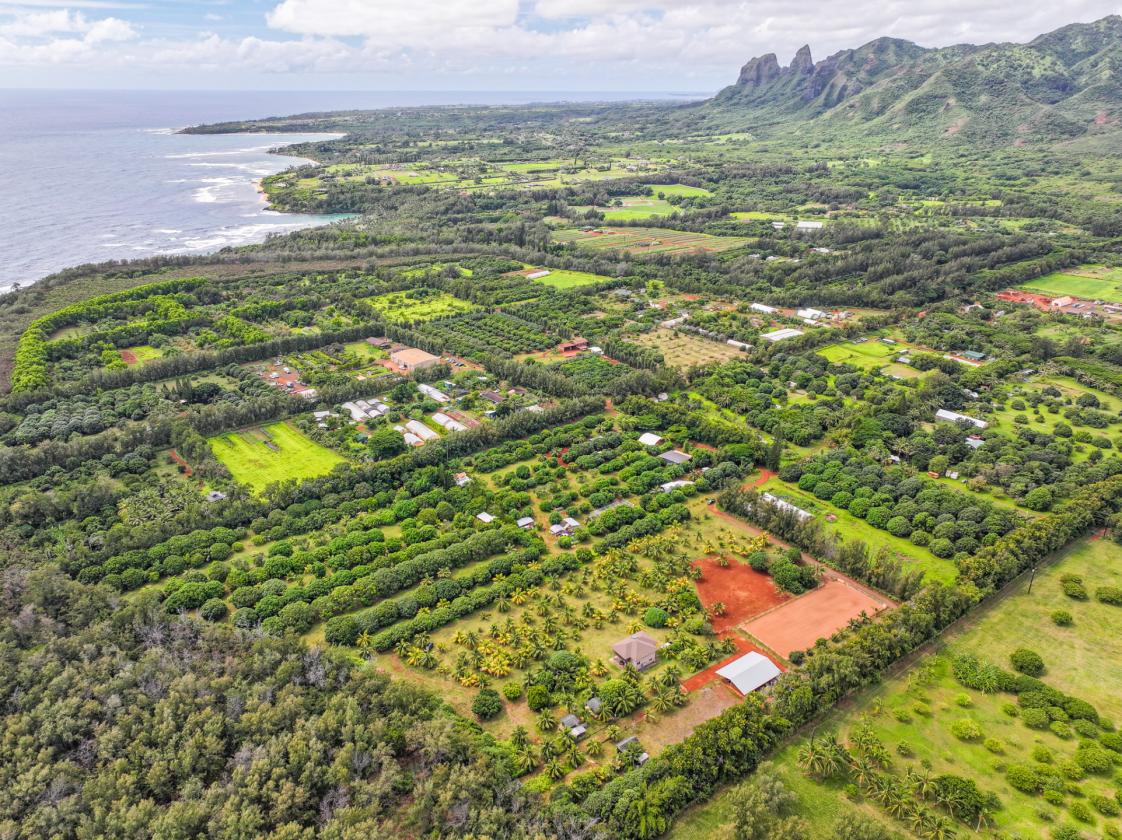 Agricultural & Equestrian Haven in Kauai - photo 27