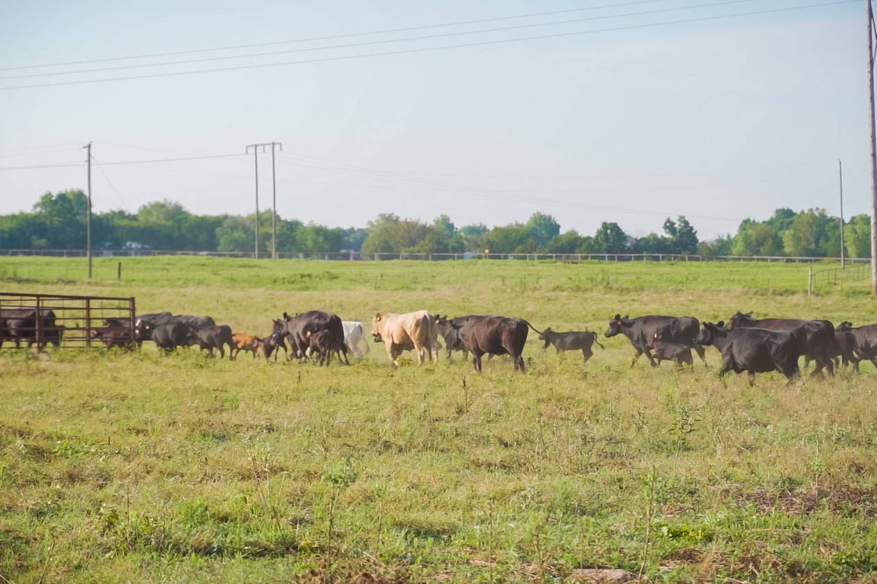 Horse Farm/Ranch for Sale Close to OKC, Tulsa and Stillwater Cushing