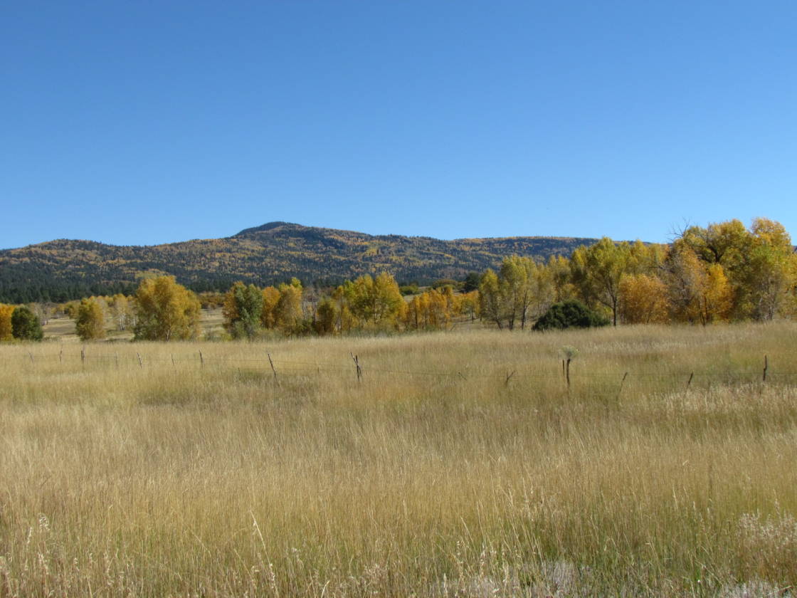 Lakes on the Chama Chama, Rio Arriba County, New Mexico Horse