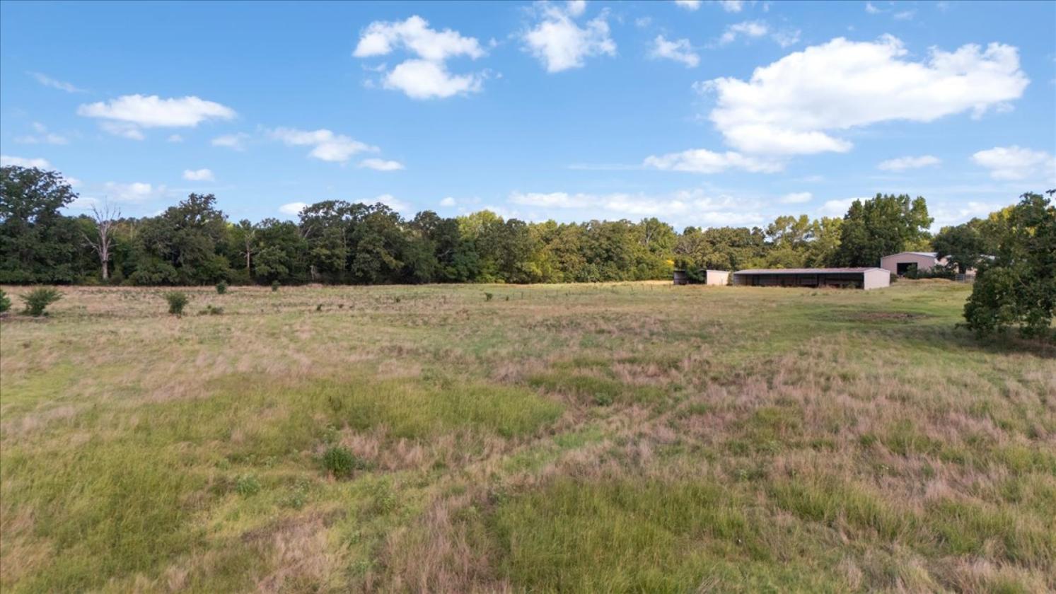 Hickory Hills Farm - 52 acres - photo 11