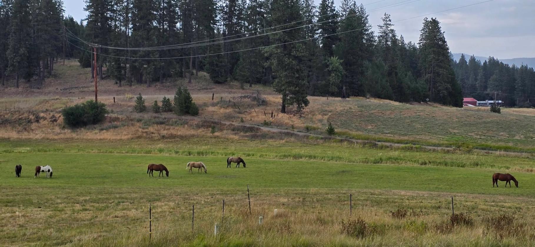 Blanchard Creek Valley - photo 5