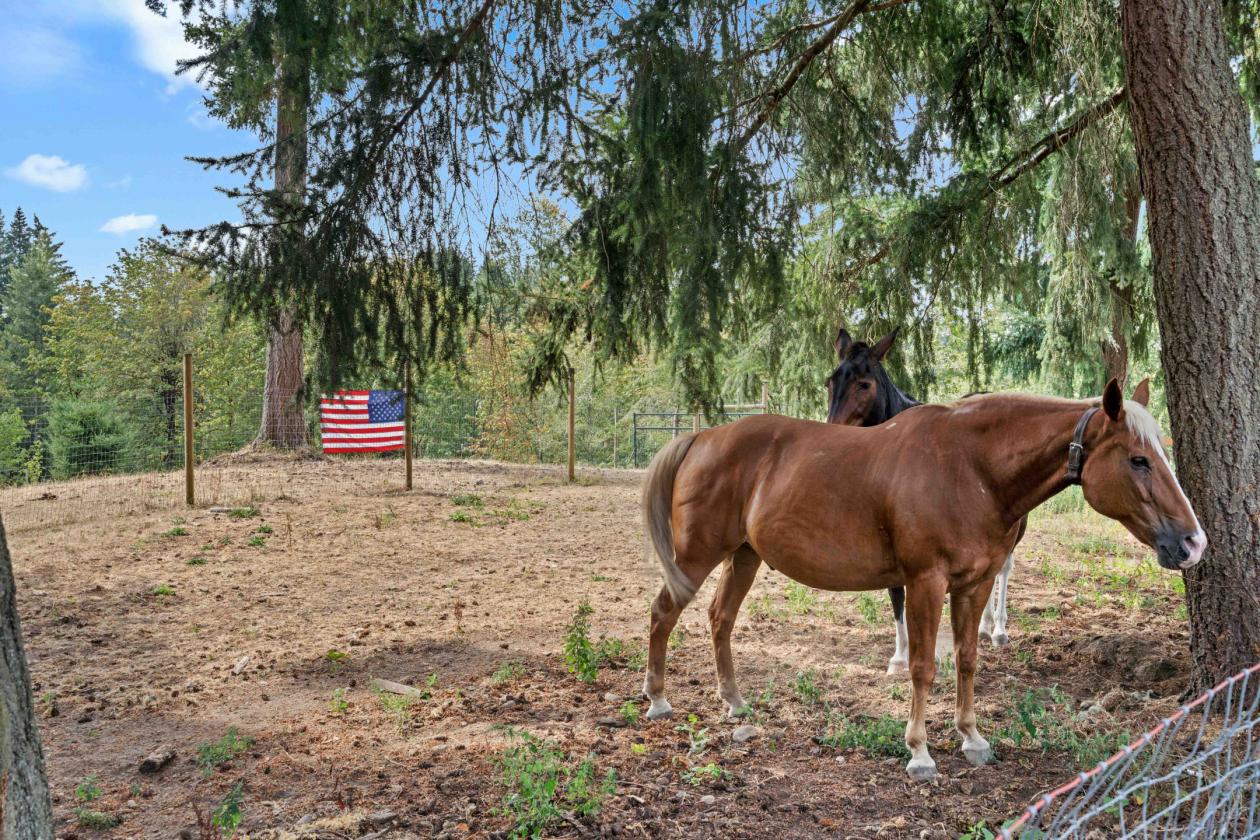 Saddle up & find your slice of Country Paradise!! - photo 4