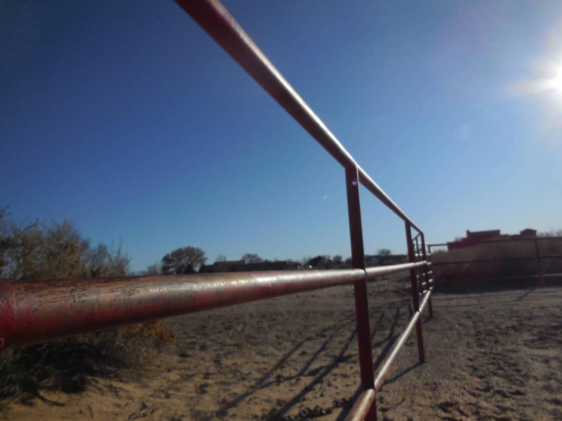 Corrales Horse Property Corrales, Sandoval County, New Mexico