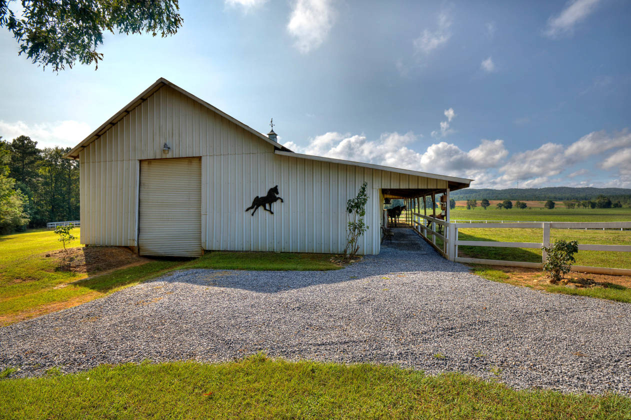 to Hill Farm!!! Home to World Champion Tennessee