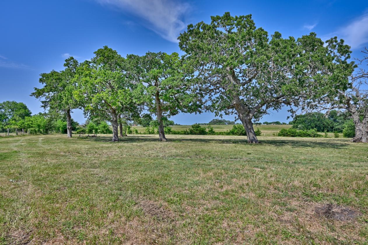 High Point Ranch - photo 17