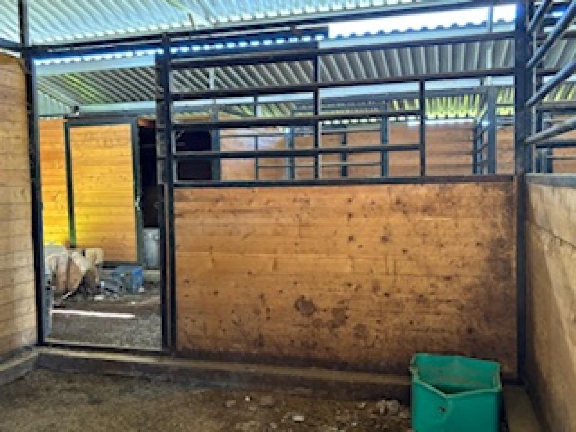 Exceptional Equestrian Breeding &Boarding Facility - photo 12