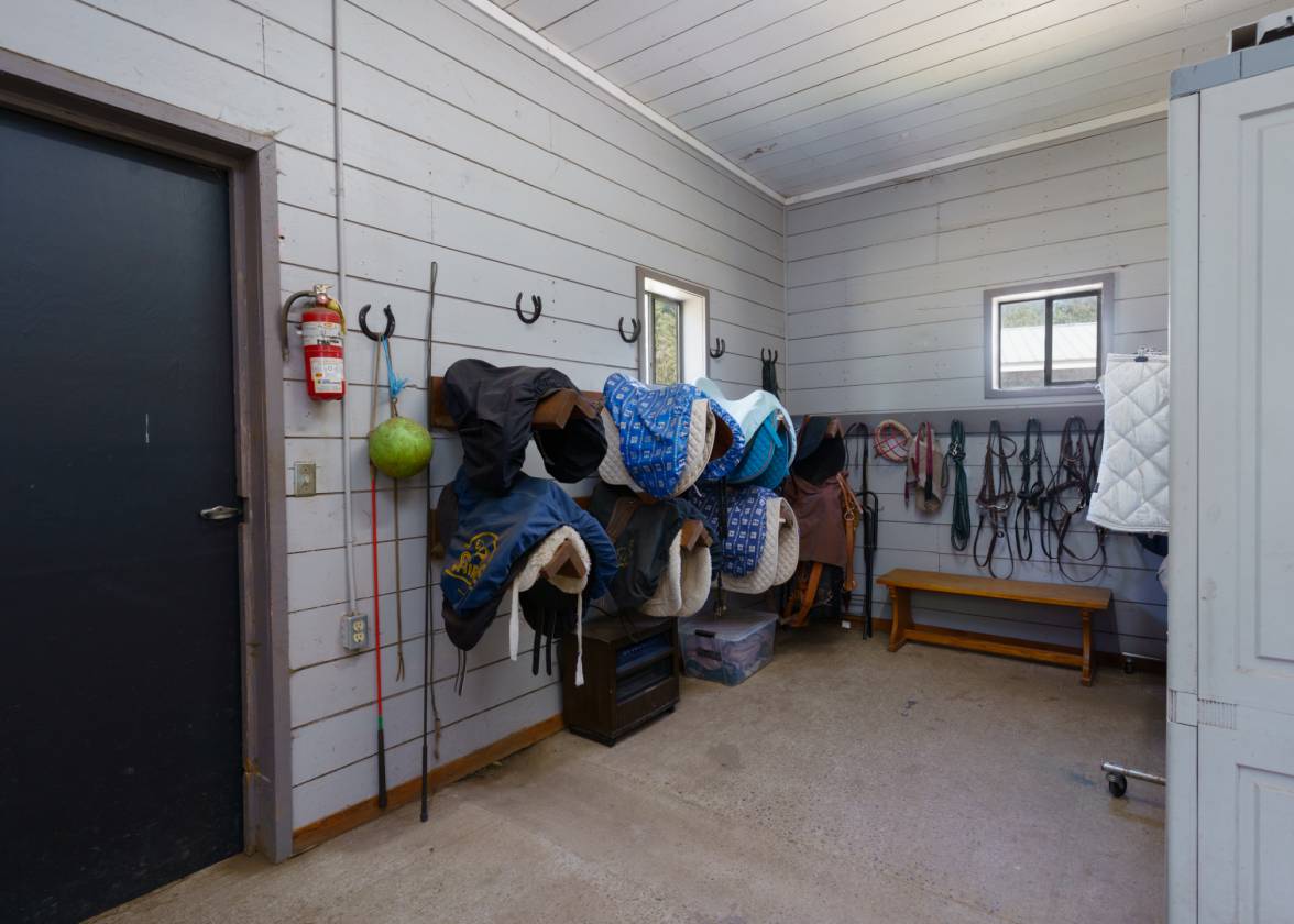Equestrian Dream Estate - photo 20