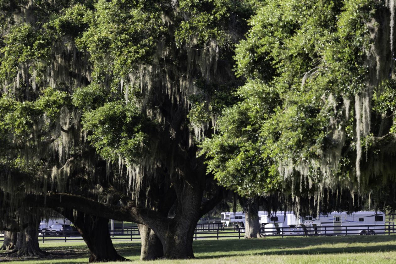Kingwood Foxden - 4 miles to World Equestrian Center - photo 12