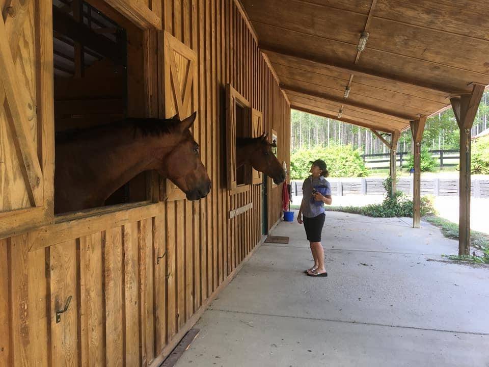 21 acre horse farm, 6 stall barn, optional 19+ acres.... Aiken, Aiken