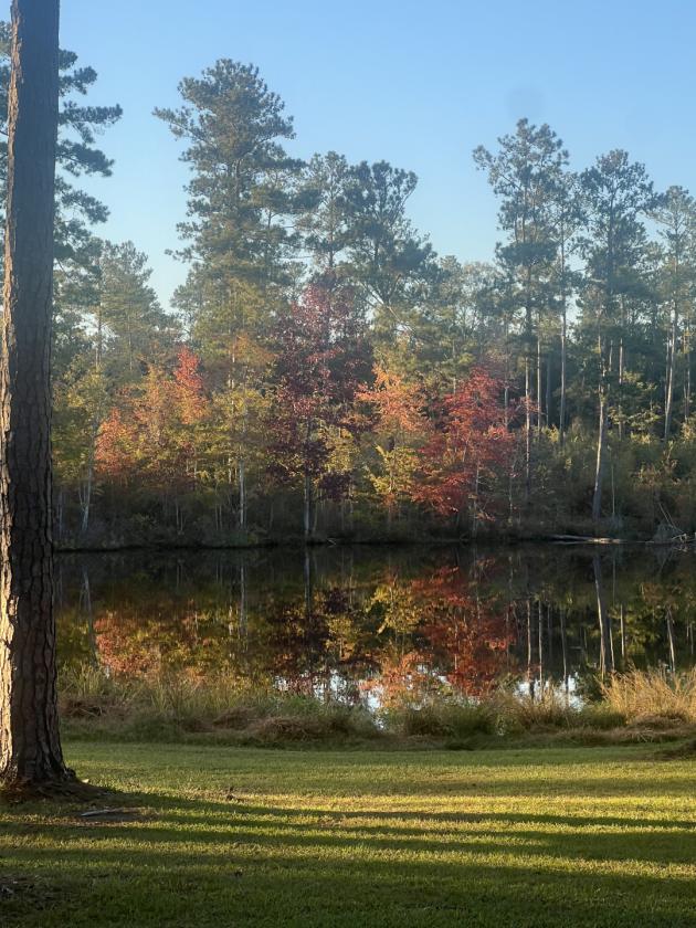 Equestrian Farm with 2 homes and stocked pond - photo 26