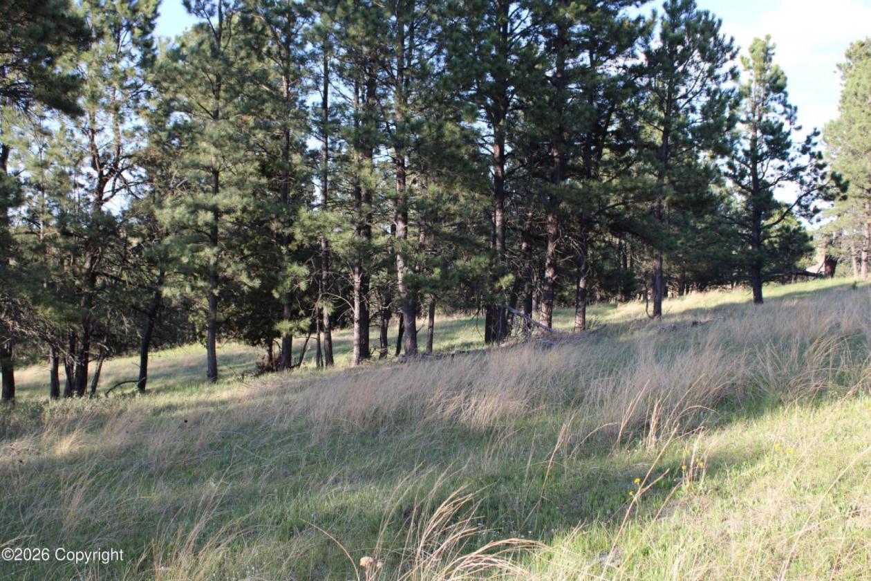 WY Horse Property with Views and NO Covenants! - photo 10