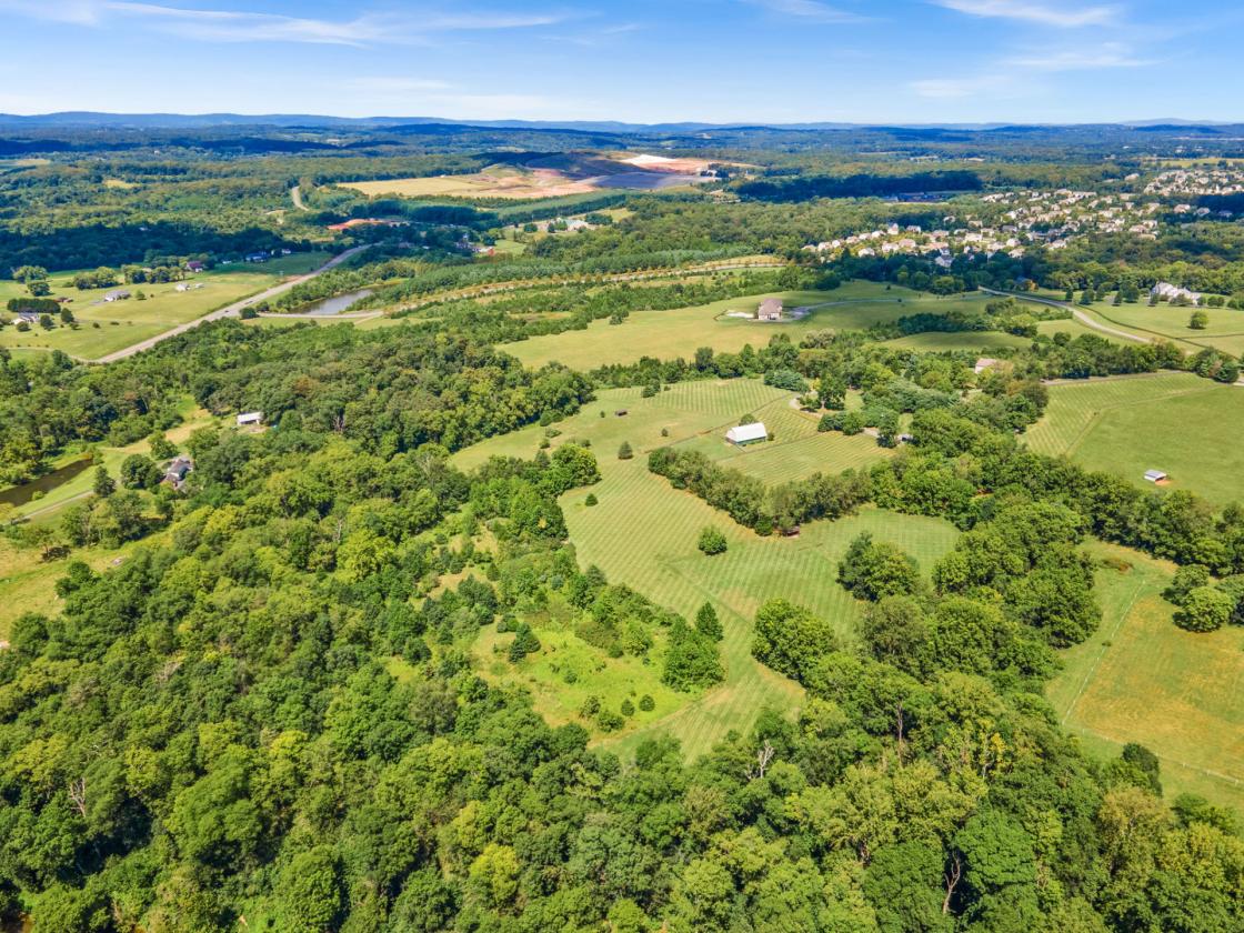50 Acre Equestrian Property with Private Pond - photo 9