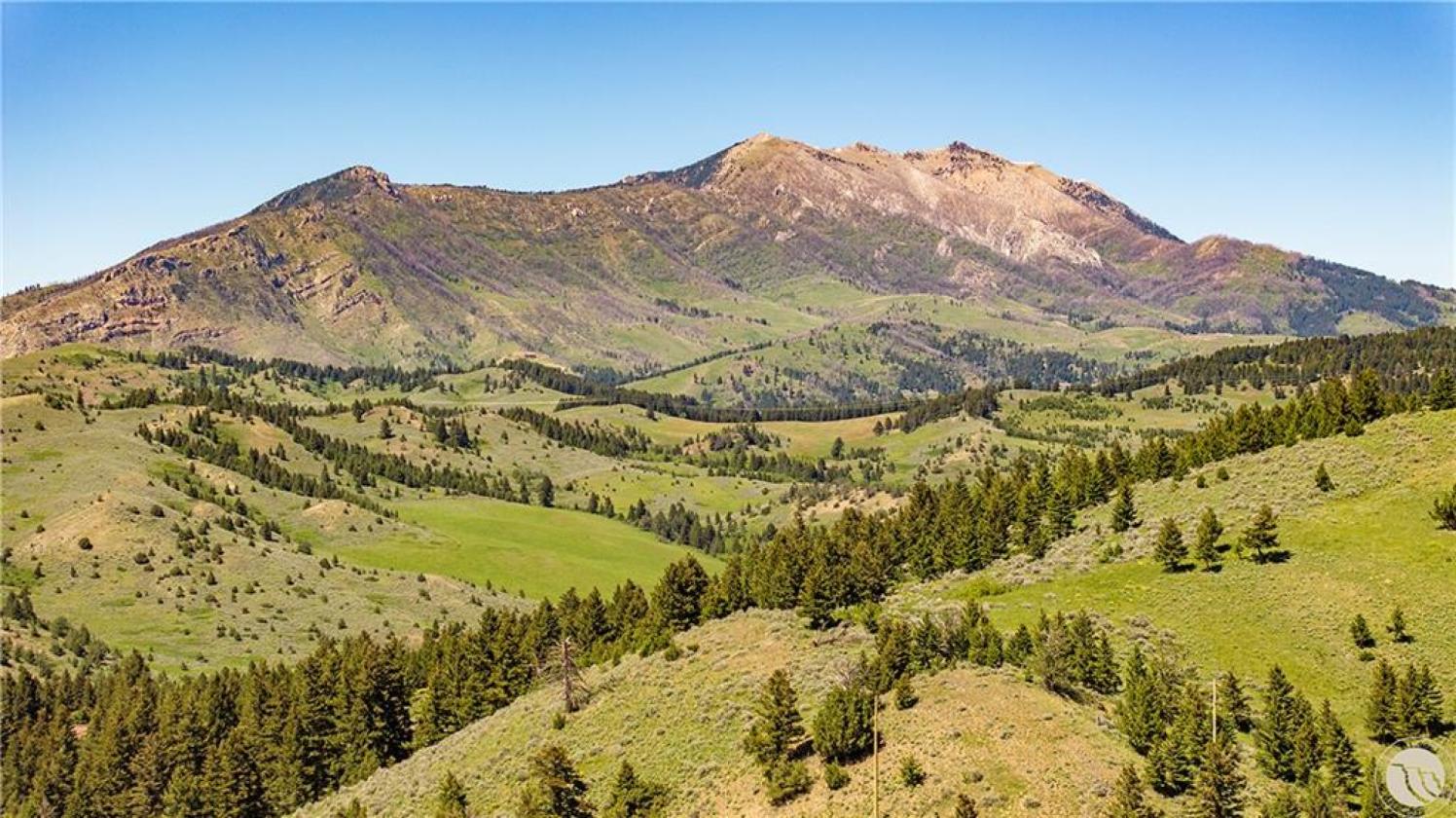 Great Buy Rocky Creek Frontage - photo 23
