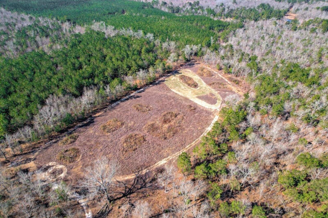 Beautiful 61-Acre Horse Property - photo 9