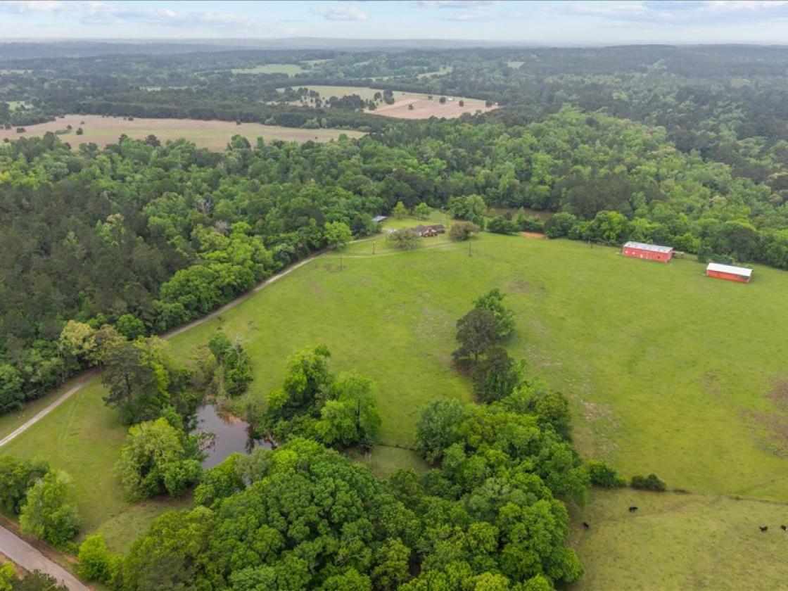 Horse property with breathtaking views - photo 29
