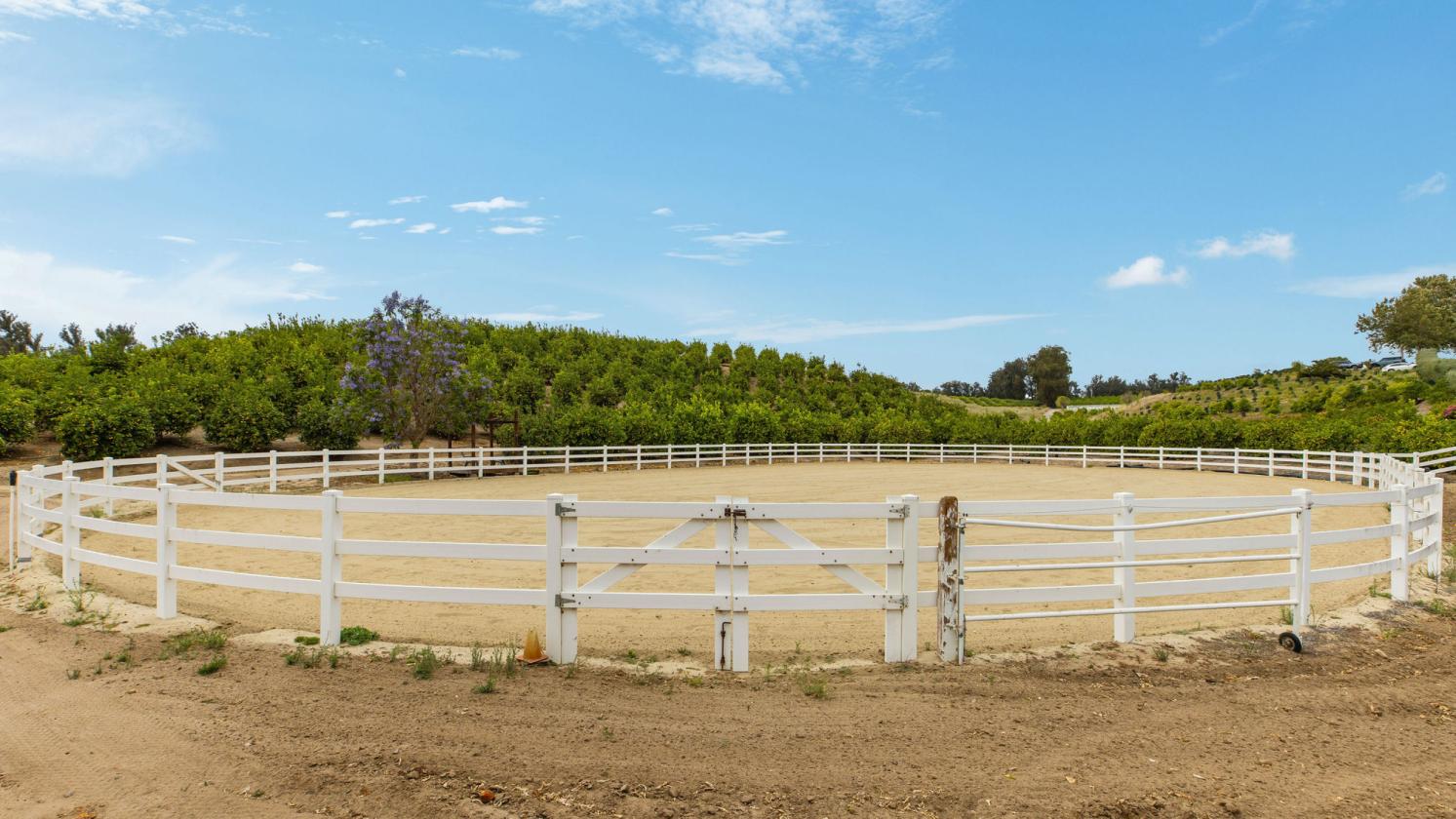 Lemon Ridge Ranch on 47 Acres - photo 13
