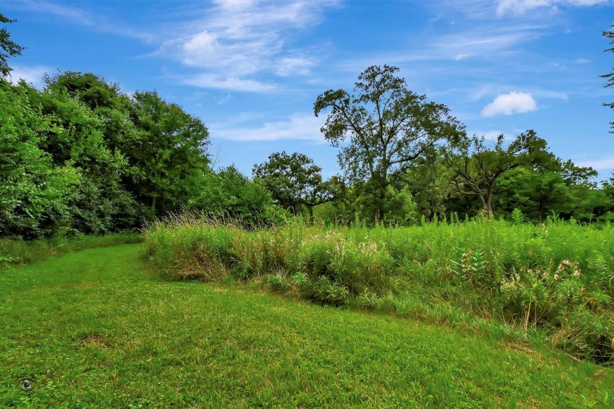 Fox River Front Property near Oswego Illinois Oswego, Kendall County