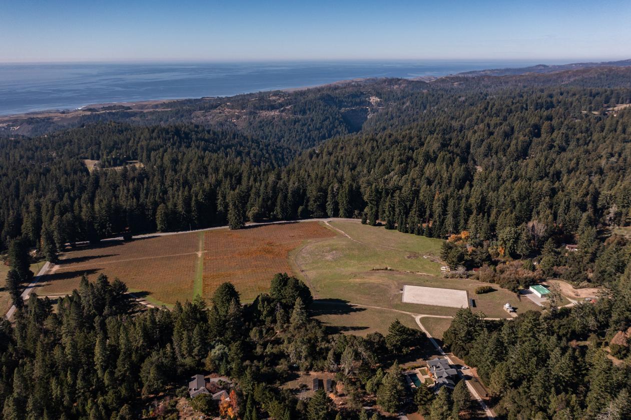 Santa Cruz Equestrian & Vineyard Property - photo 24