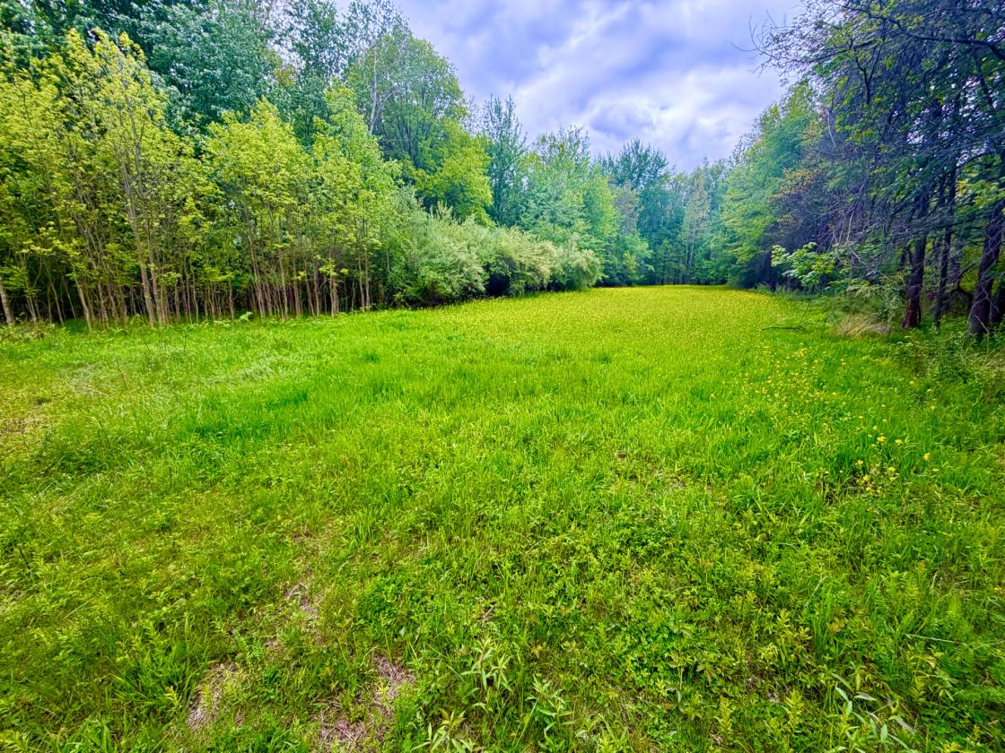 60Acres Equestrian Land with Scenic Trails - photo 13