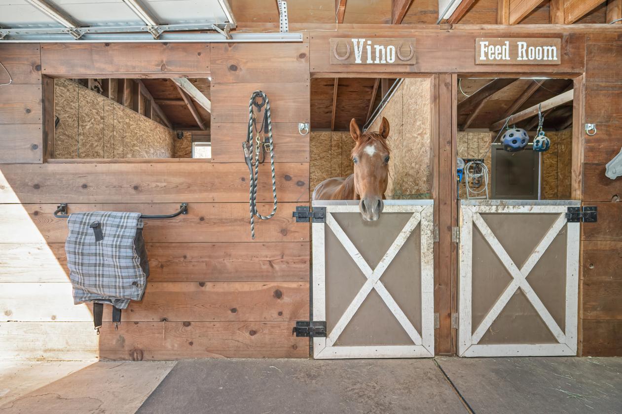Country living at its finest! - photo 27