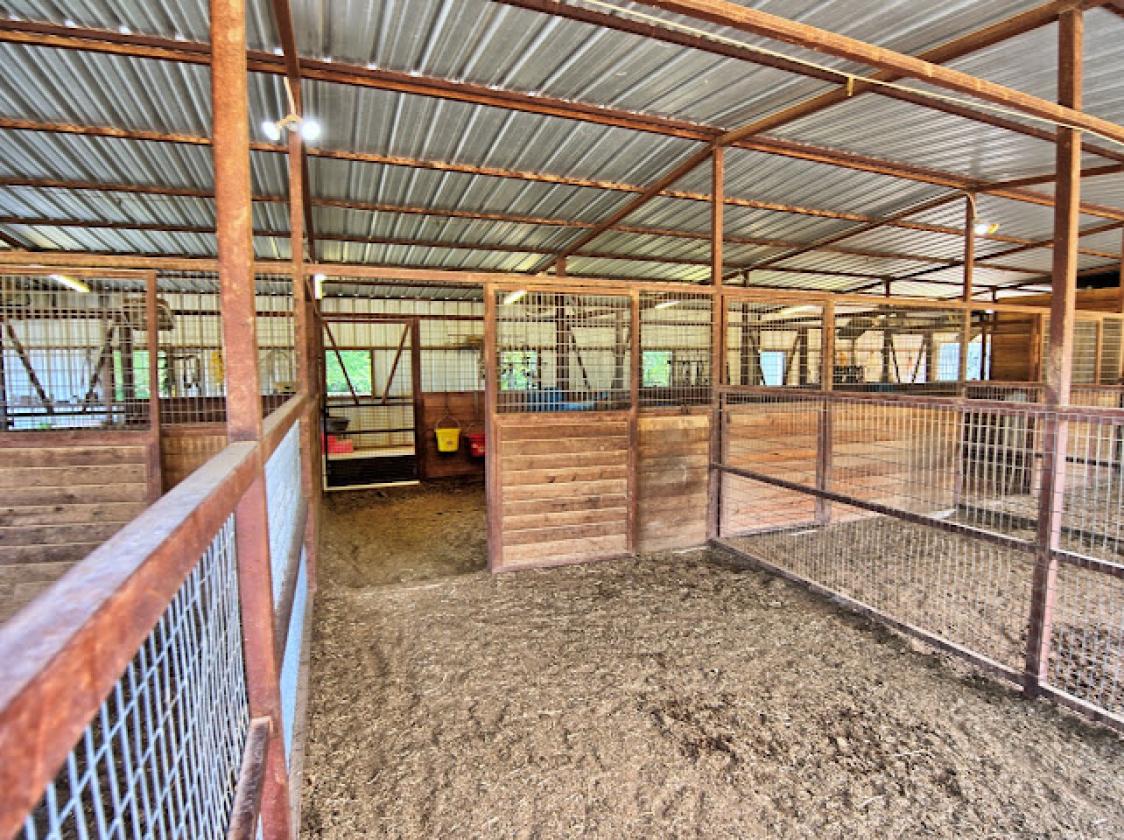 Horse Property in the North Texas Countryside - photo 13
