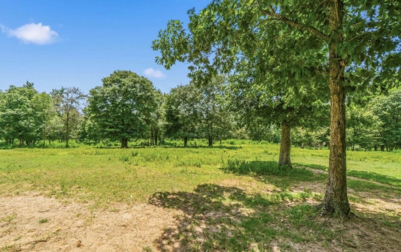 Beautiful East Texas horse property - photo 21