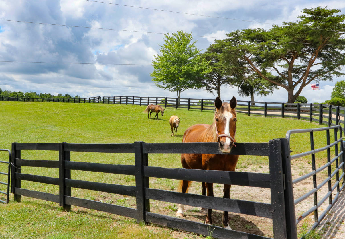 79 Acre horse boarding, training and event center 20 minutes to